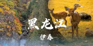 伊春旅游必去景点