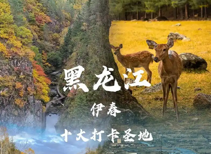 伊春旅游必去景点